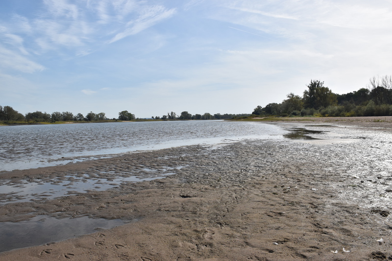 At the beach of the river Elbe