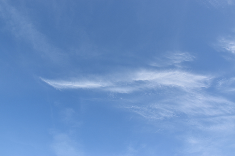 At the beach of the river Elbe on a sunny day