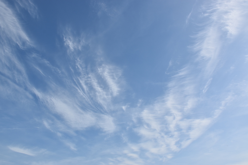 At the beach of the river Elbe on a sunny day