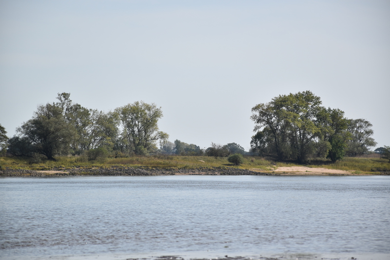 At the beach of the river Elbe