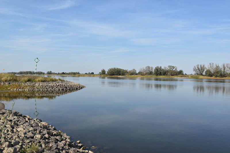 On the river bank of the Elbe
