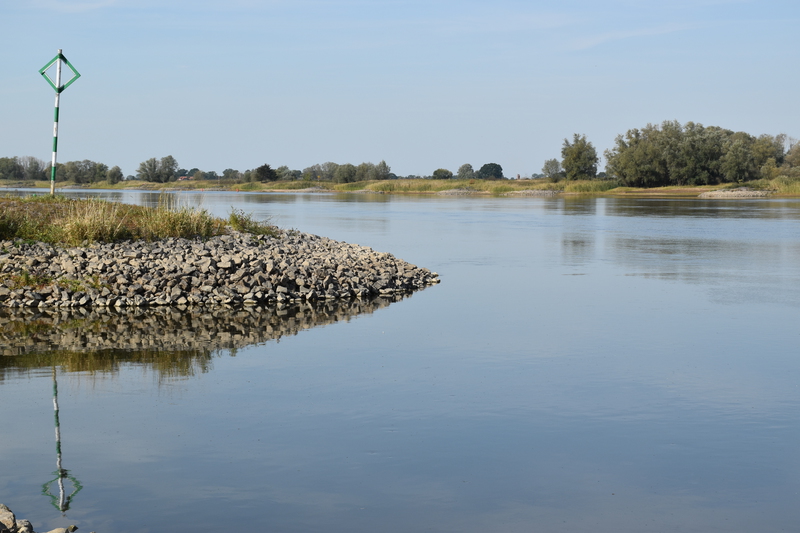 On the river bank of the Elbe
