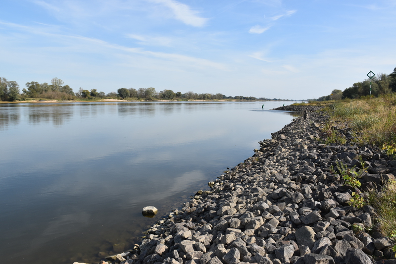 On the river bank of the Elbe