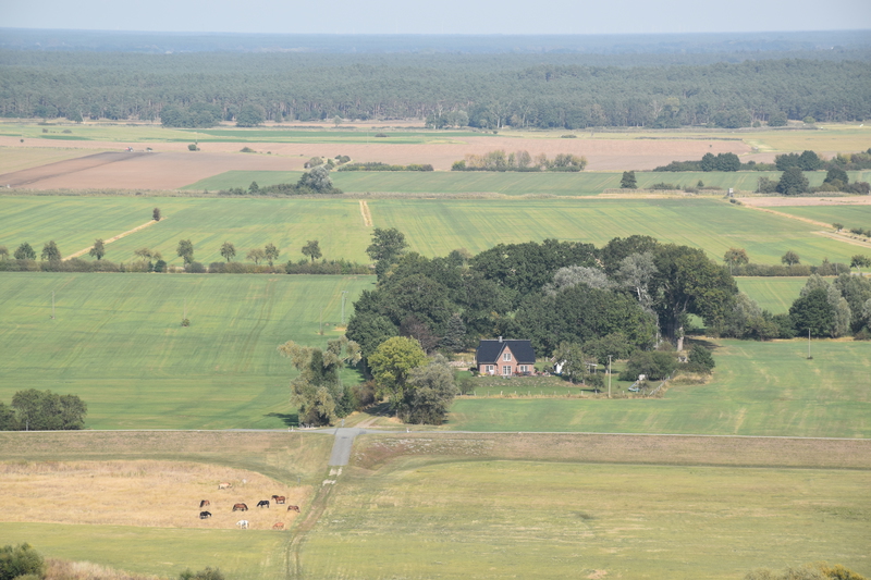 View from lookout tower Kniepenberg